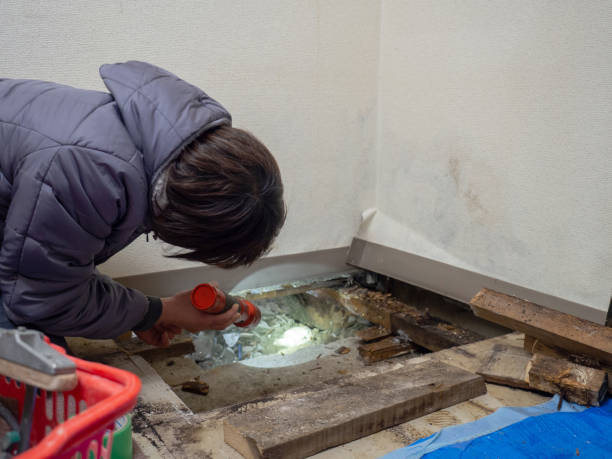 Best Emergency Mold Remediation  in Western Lake, TX