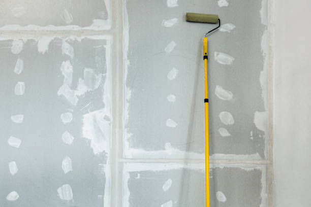 Best Residential Mold Inspection & Testing  in Western Lake, TX