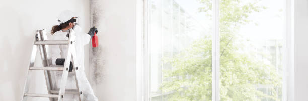 Best Environmental Consulting for Mold Prevention  in Western Lake, TX